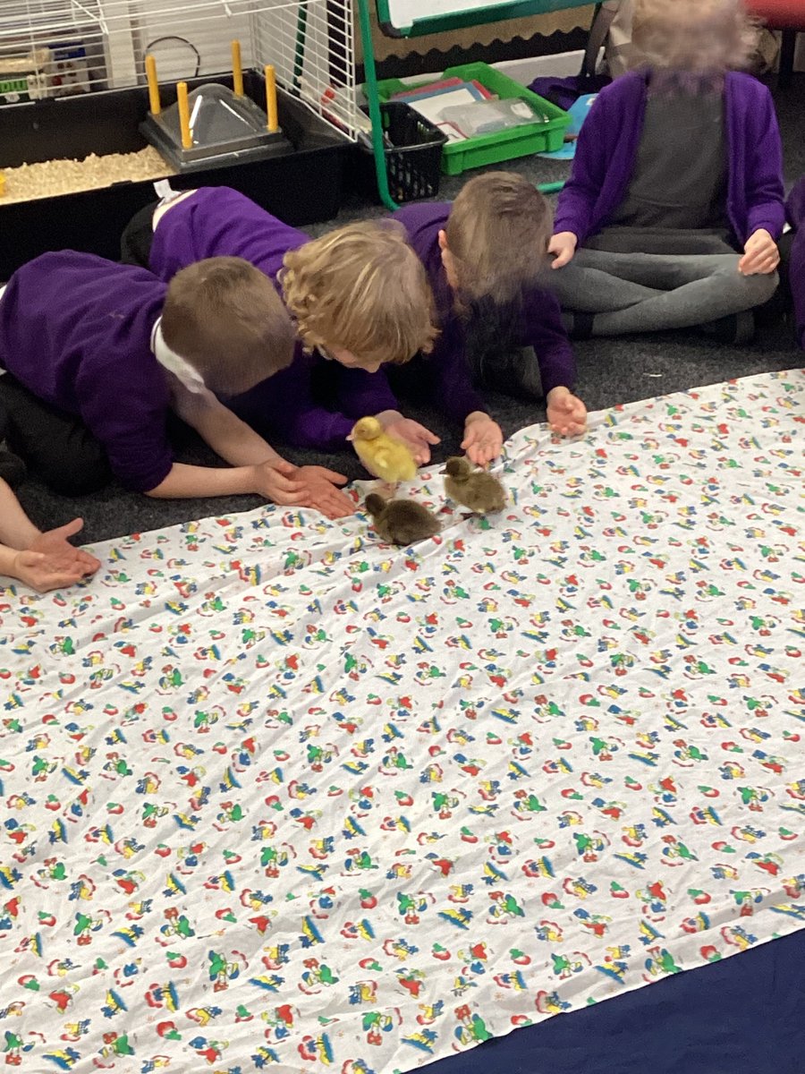 Hazel Leys Academy tweet media