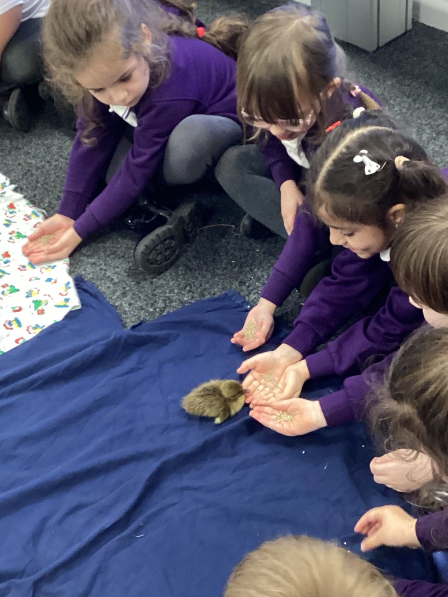 Hazel Leys Academy tweet media