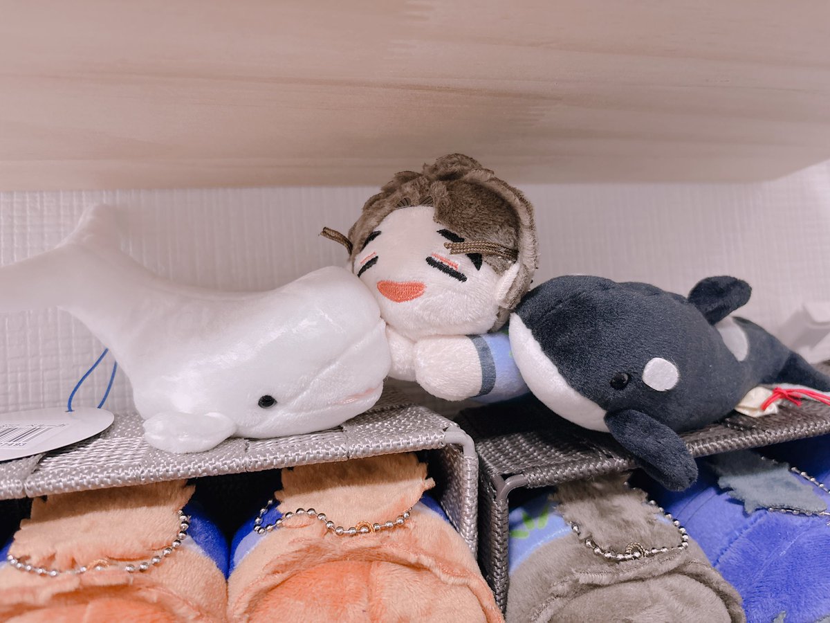 Post by おちび🫐 on X: おほ〜っ💕