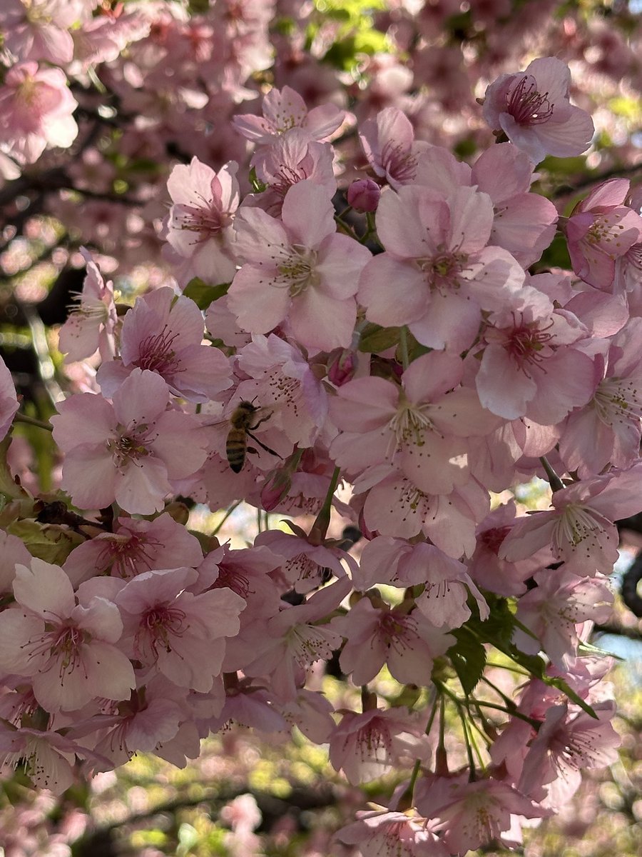 マリー|貿易・物流サポート tweet media