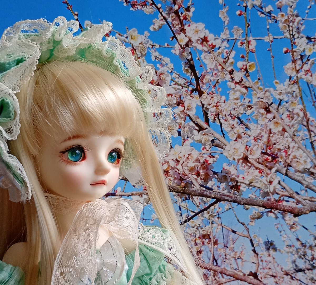 tom2310doll's tweet photo. 配達失敗とか言われてビビった荷物。無事到着(何だったんだー)
さっそくリオにつけたら、デフォに似ているけど、も少し儚げな感じでかわええ
#GemofDoll #yoly https://t.co/c9K4wi4wkP