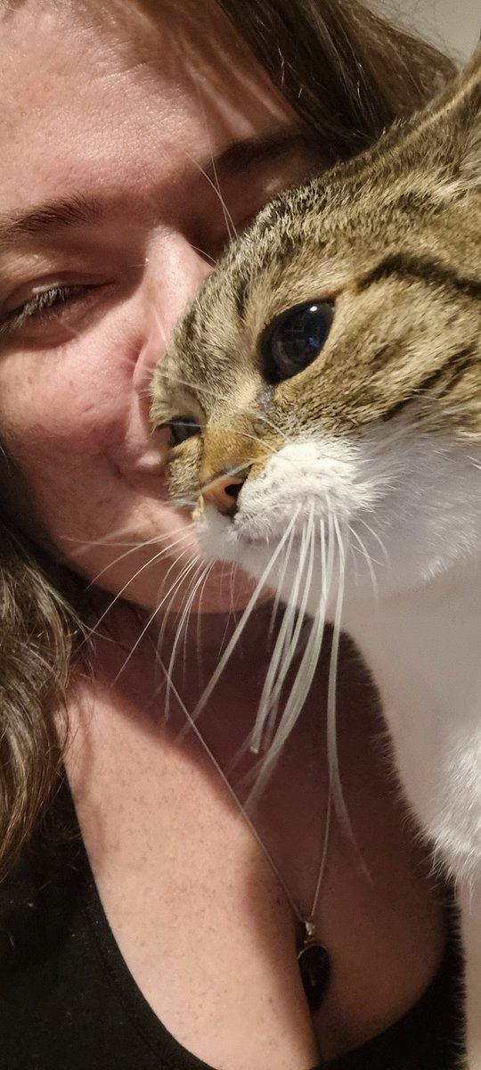 Bon ᓚᘏᗢturday 😘