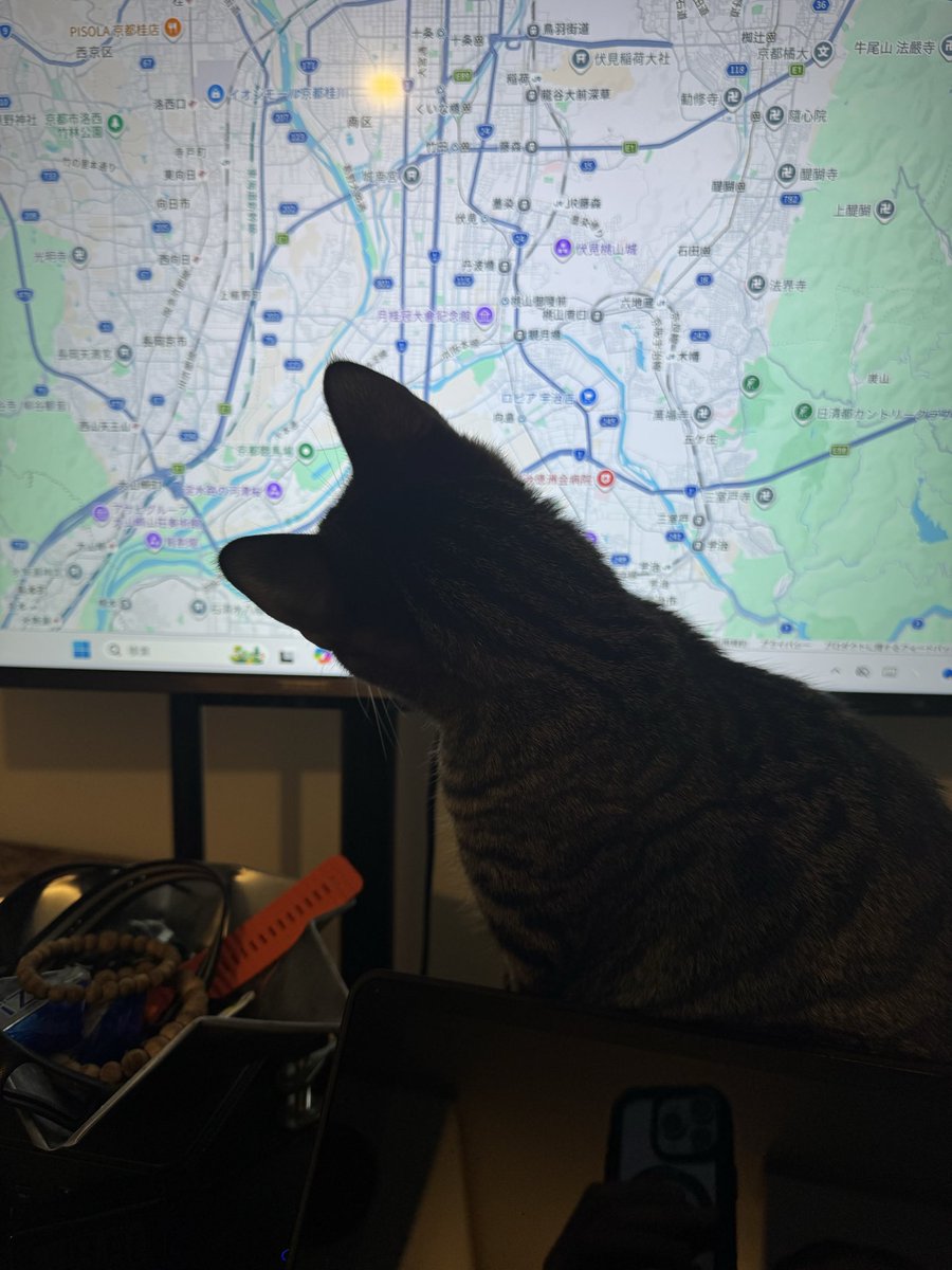 nirahey's tweet photo. マウスカーソルを追う事を覚えた https://t.co/6y1zBFvVjB