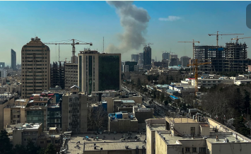 章鱼🐙🦭 tweet media