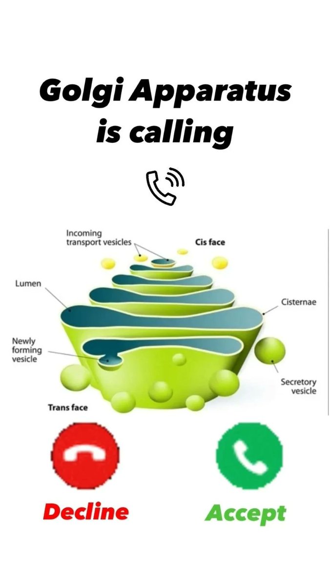 Queen Liza🩷🤍💙 tweet media