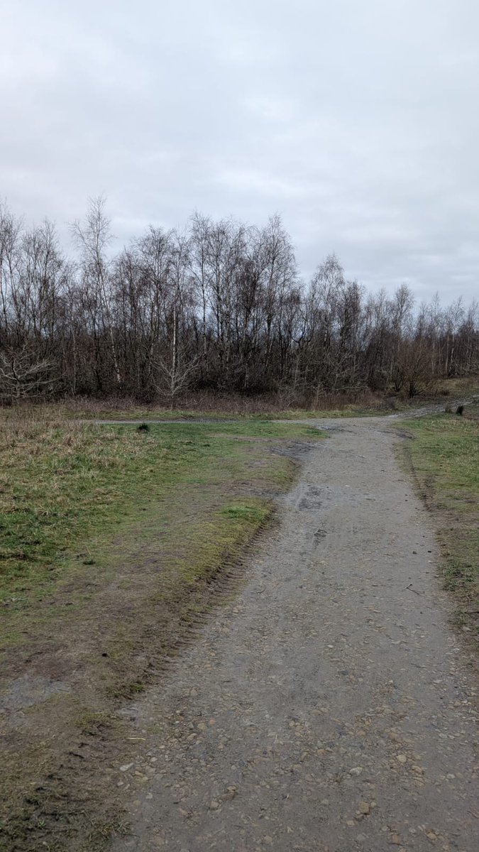 PenFlashparkrun tweet media