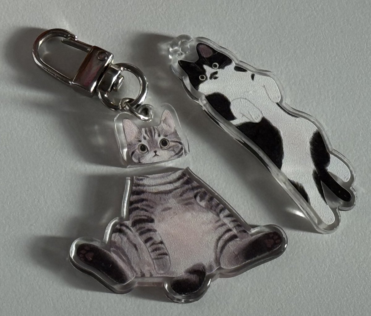 첩 CHUB tweet media