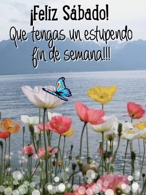 <a href="/luismerlo_actor/">Luis Merlo (Oficial)</a> Buenos días,  otra vez nublados, Luis y a todos  este gran grupo. 
"Si compartir las penas es dividirlas, compartir las alegrías es multiplicarlas".
A veces solo con una sonrisa, un apoyo inesperado,  pueden cambiar nuestro ánimo, y aunque sea solo por un momento vale la pena.