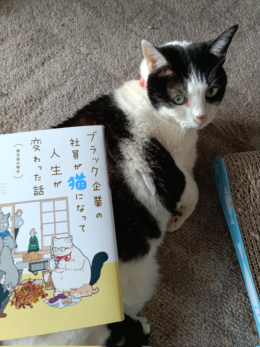 zatta_shimizu 届きました！