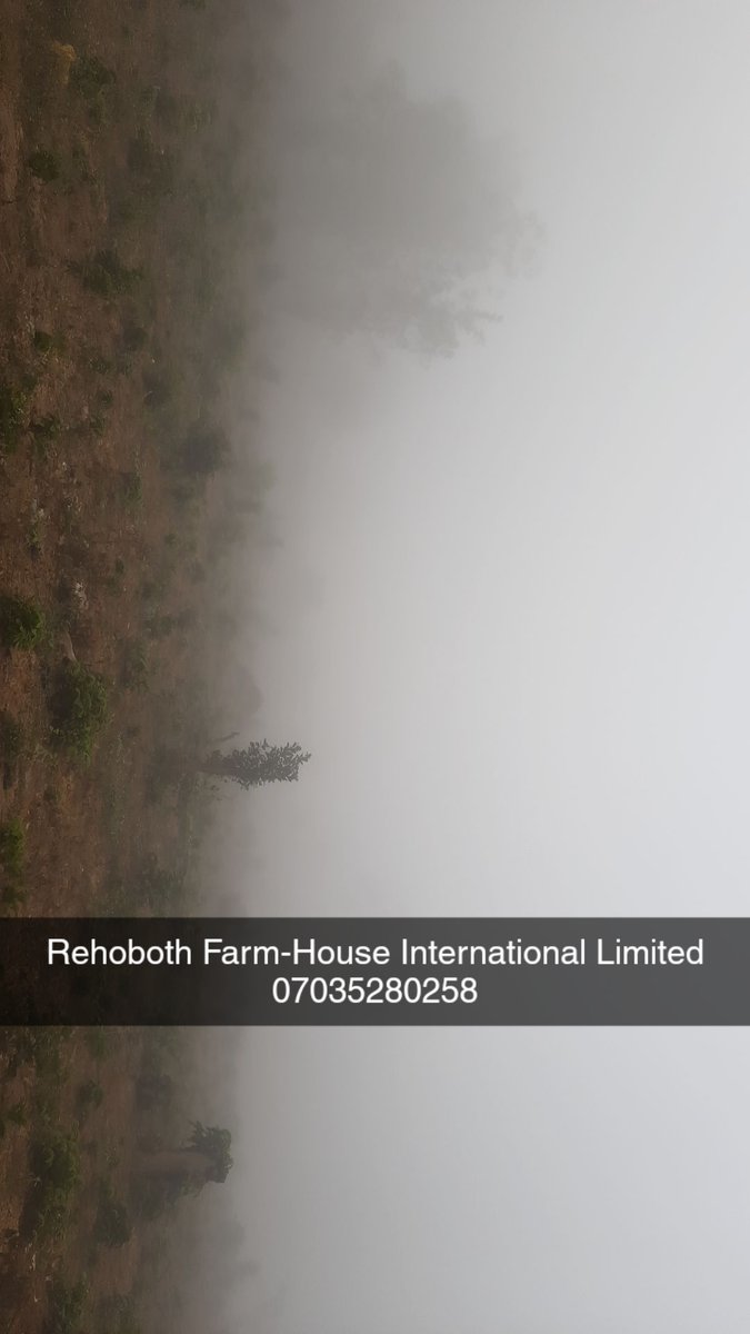 Rehoboth Farm-House International Limited tweet media