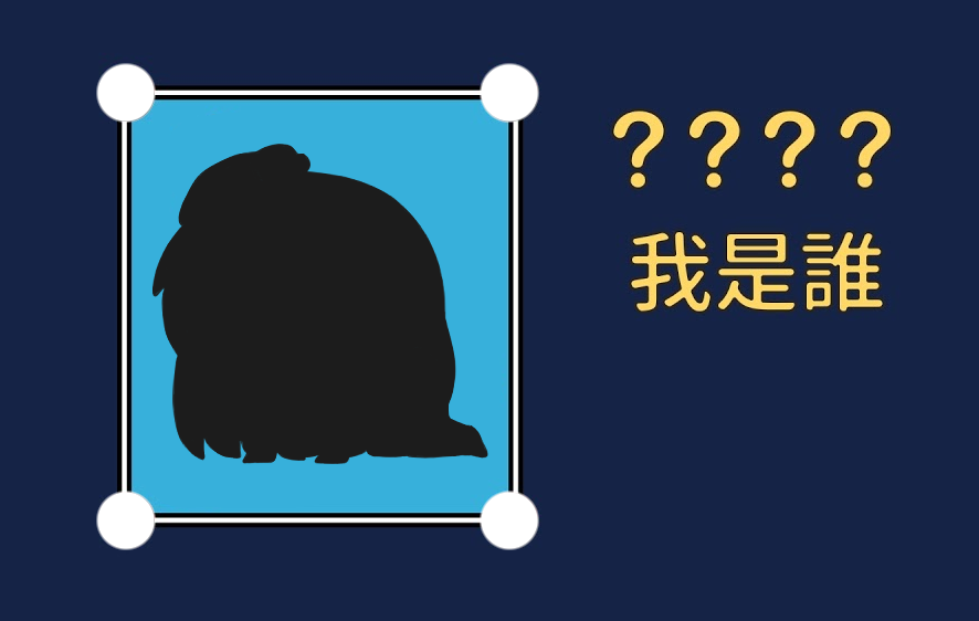 胸毛鼠叔🐹委託開放中 tweet media