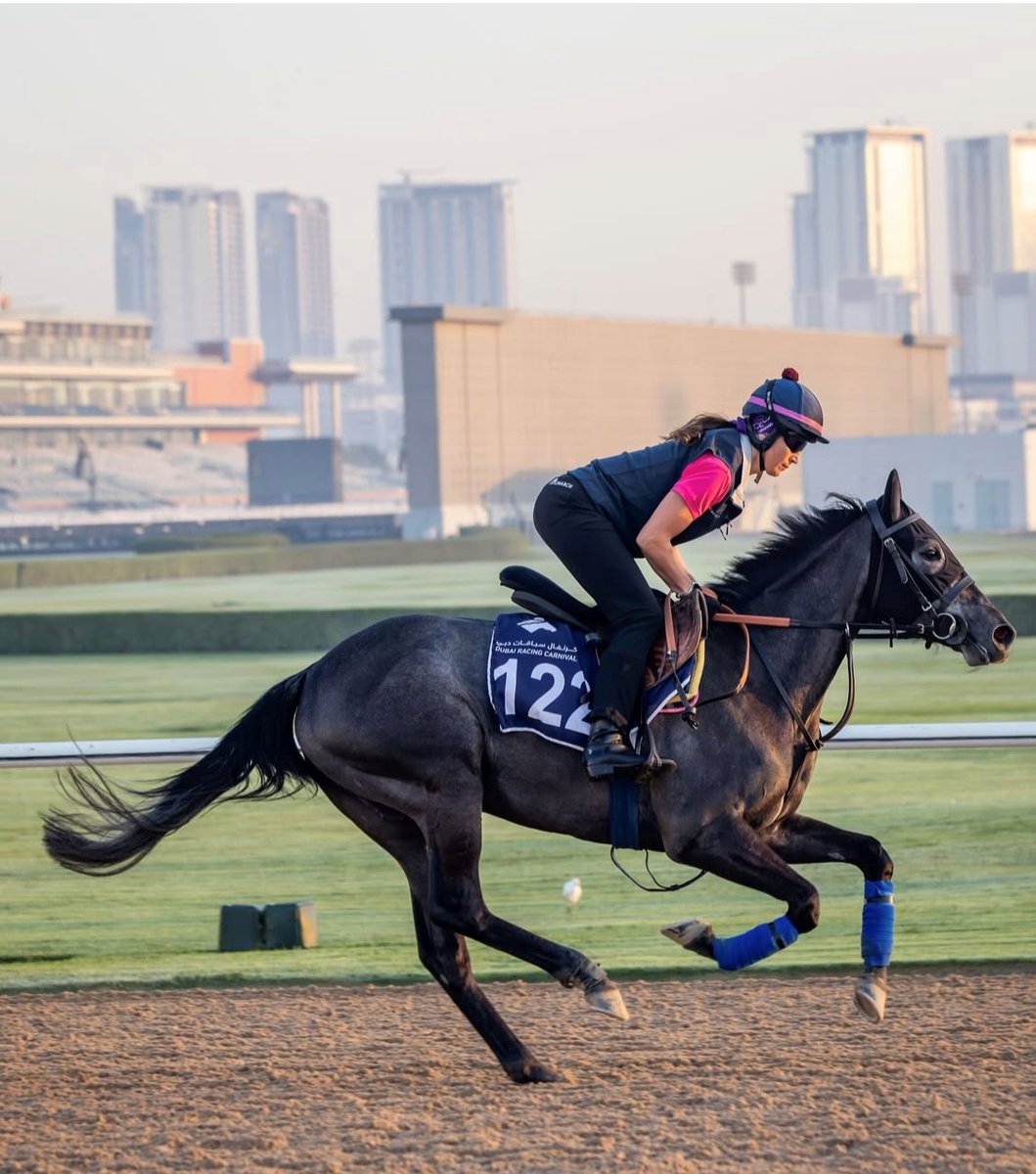 William Knight Racing tweet media