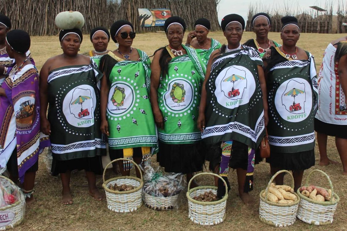 umhlangaswz's tweet photo. Lutsango from all over the country presenting gifts to Her Majesty Indlovukazi
#Buhleni #bhejane #buganu #maganu #eswatini https://t.co/99qAjQY0aK