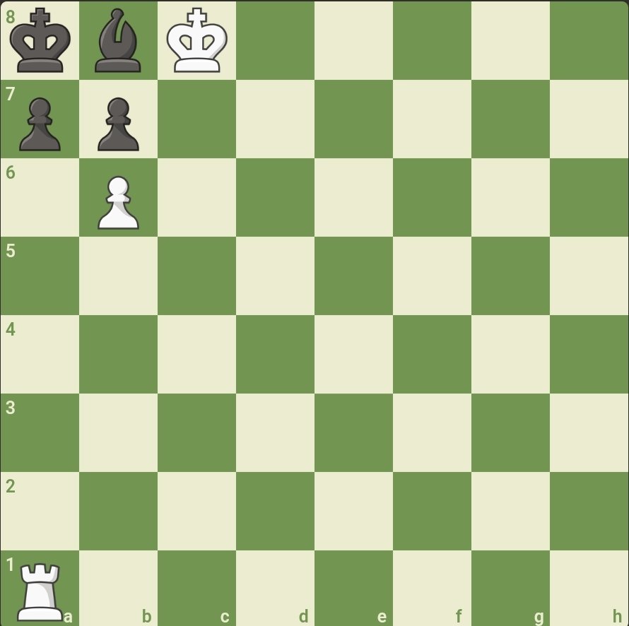 Chess For Sharks tweet media