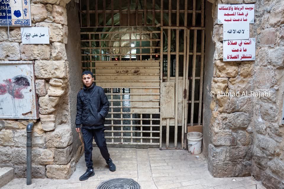 Issa Amro عيسى عمرو 🇵🇸 tweet media