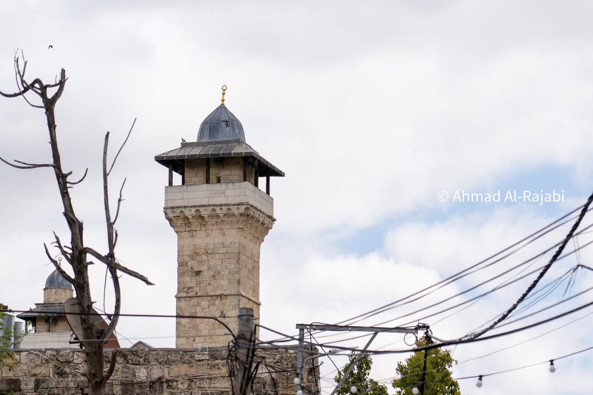 Issa Amro عيسى عمرو 🇵🇸 tweet media