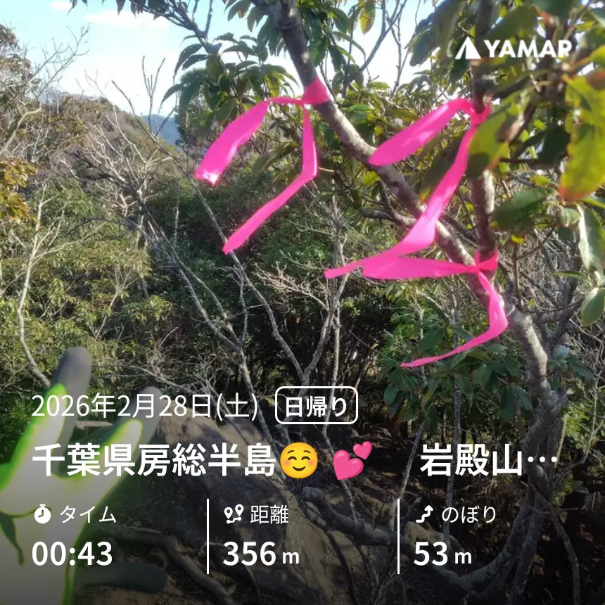 房総山岳志 シ*ル様