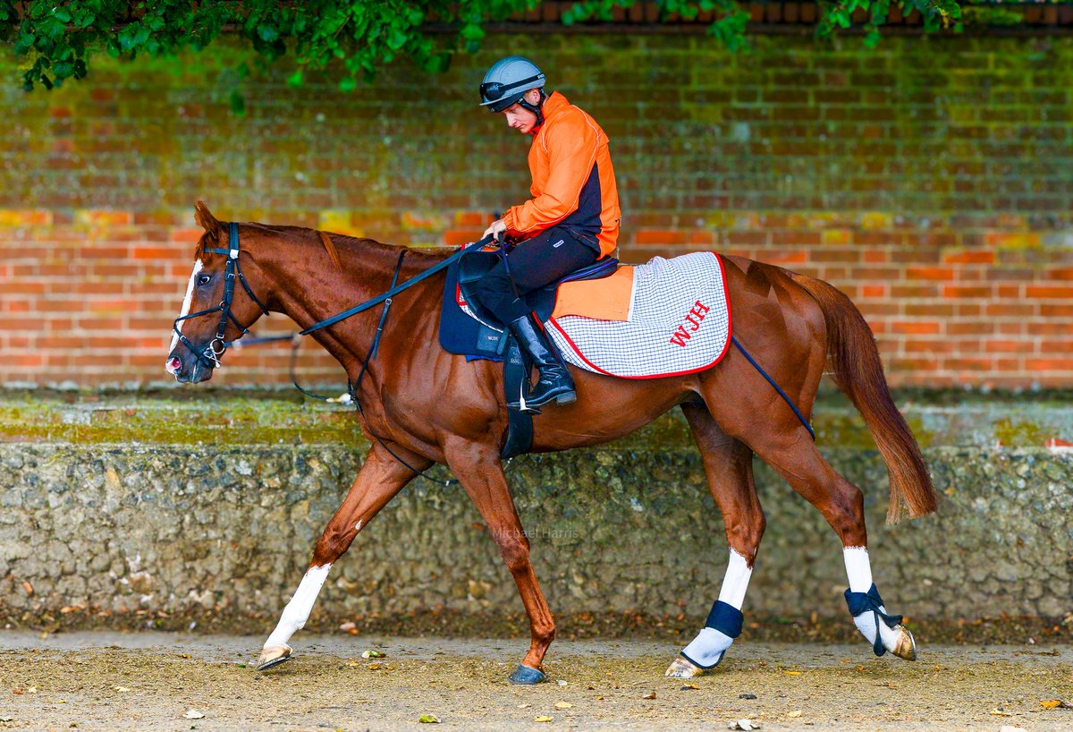 Economics and <a href="/CierenFallonJr/">𝐂𝐈𝐄𝐑𝐄𝐍 𝐅𝐀𝐋𝐋𝐎𝐍 𝐉𝐑</a> at the bottom of Warren Hill, Newmarket.