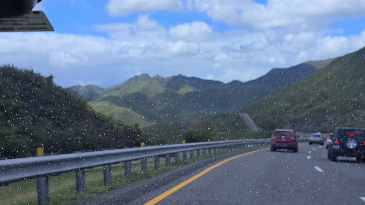 Taíno🇵🇷🇺🇸 tweet media