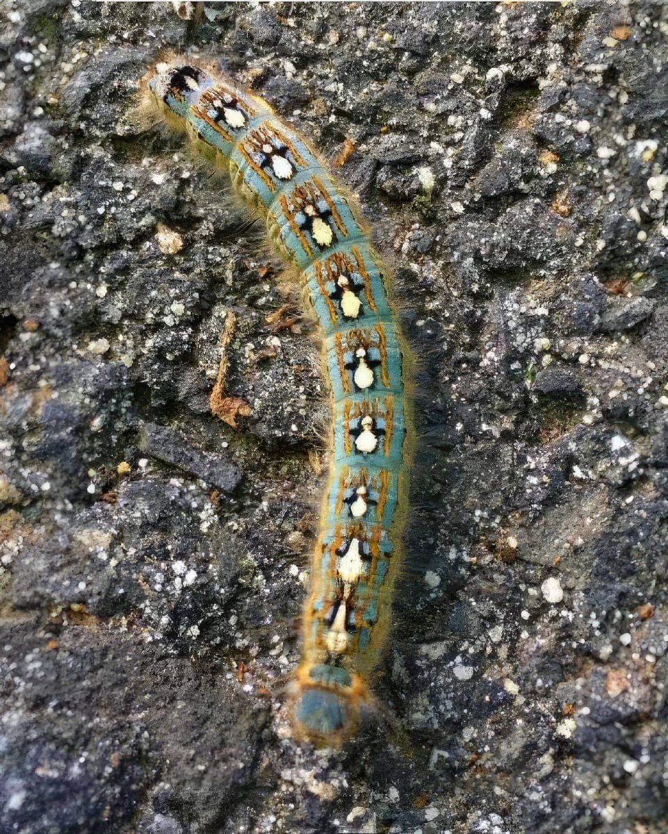 Science girl tweet media