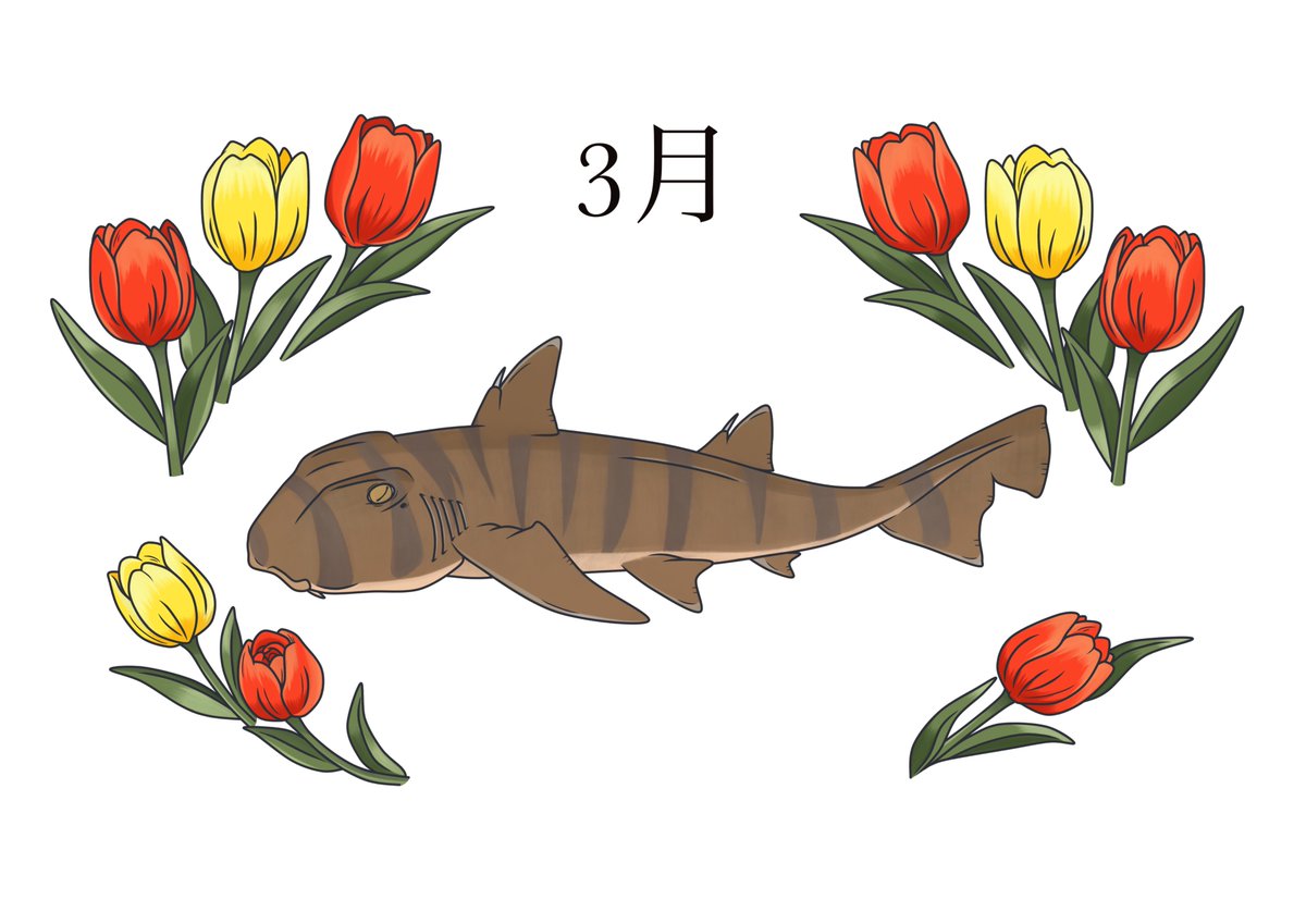 3月
チューリップ×ネコザメ

#ネコザメ
#チューリップ
#めかぶ絵