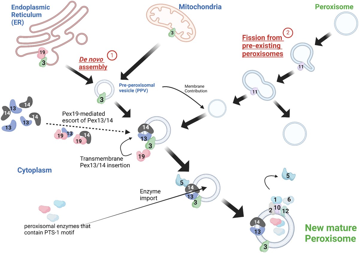 Genome Journal tweet media