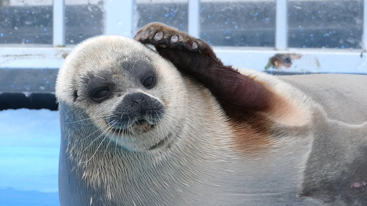 ｽｽﾞｷ (@suzuk1_san_) / Posts / X