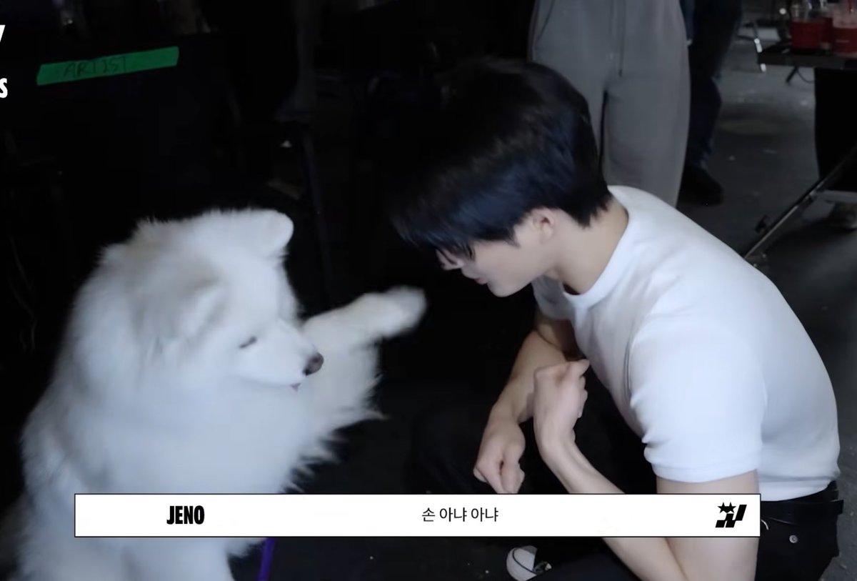 น่ารักอะ เจโน่ยังไม่ทันขอมือน้องซามอยด์แต่น้องให้มือก่อนเลยเพราะจะกินขนมที่มือเจโน่ 555555555555555555 ชีวิตแลกชีวิตส่งขนมในมือเจ้ามาเด๋วนี้