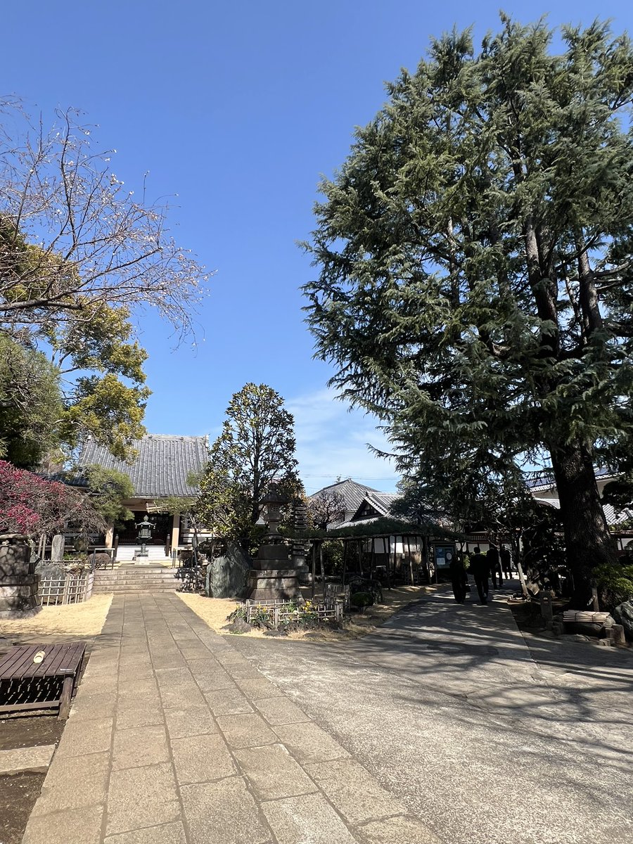bpo_dm's tweet photo. 本日、昨年3月2日に急逝した父の1周忌法要でした。合わせて父方の祖父33回忌、祖母23回忌と親子揃っての法要。この1年本当に色々大変でしたが、平穏無事に暮らせていることのありがたみを感じる1日でした。ジジィ、家族はみんな元気だから心配すんなよ！1年…早いなぁ https://t.co/mmuwK6SnDu