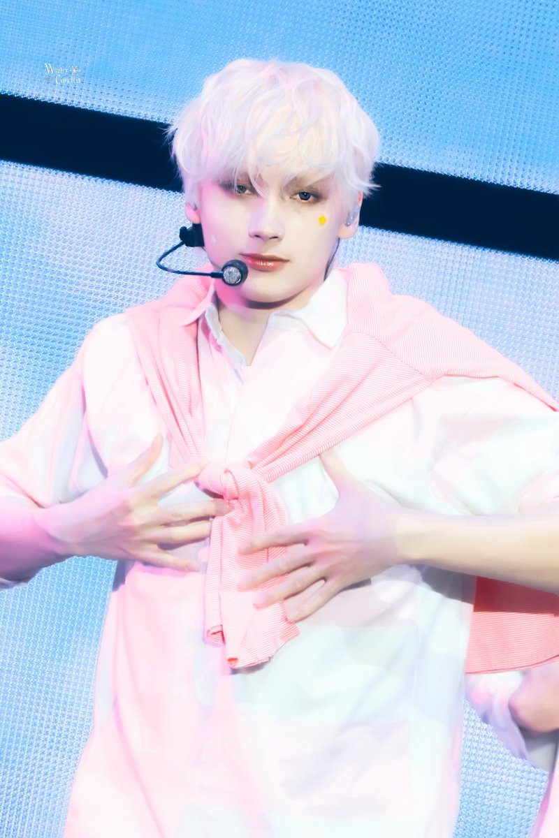 WinterCamellia tweet media