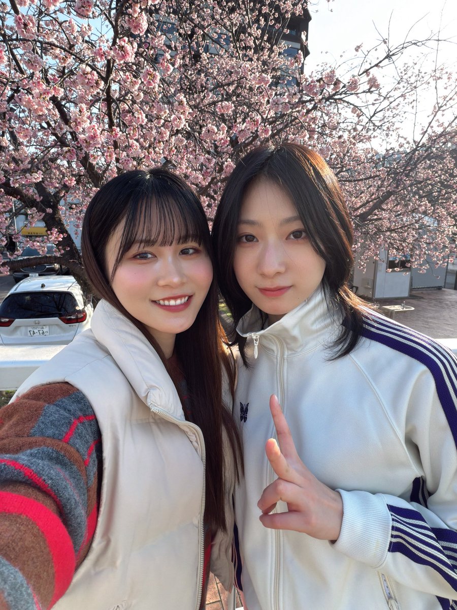 彼女のサーブ&レシーブ (カノサレ)のインフォ🎾 (@kanosare) / Posts / X