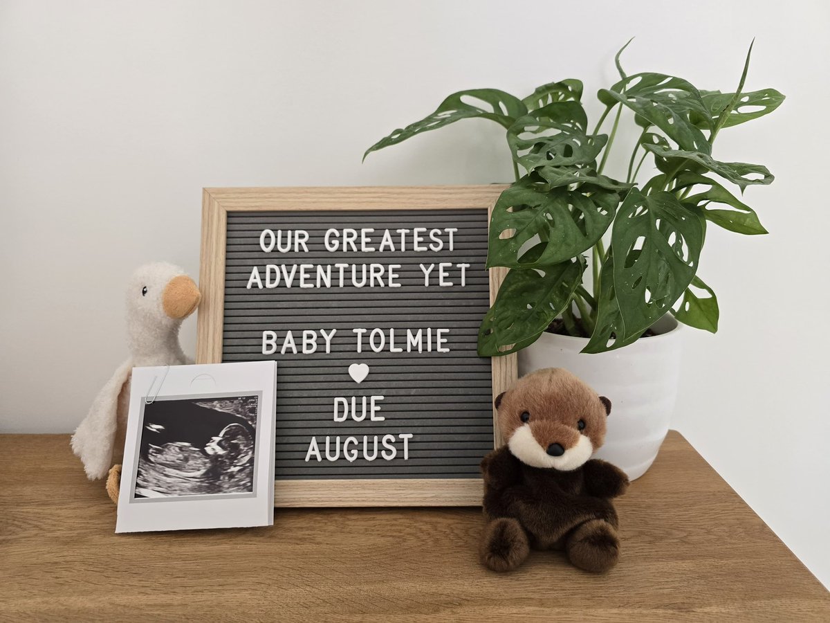 Rugged Land Specialist: Arthur Tolmie tweet media