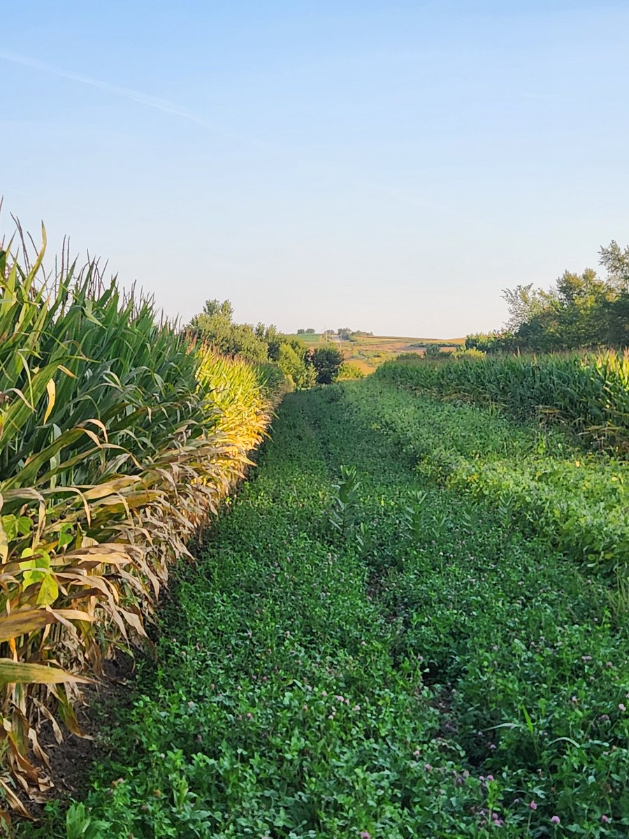 Dustin Farnsworth tweet media