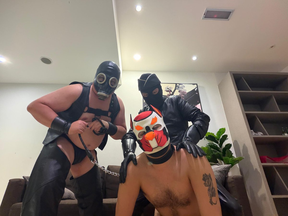 布魯諾/ Pup Bruno(黑豹🐆/前犬名鬥鬥) tweet media