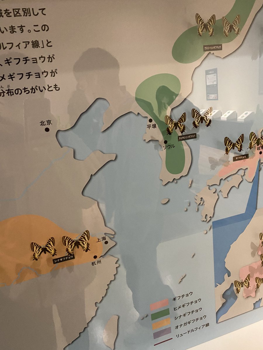 Duigc6's tweet photo. 岐阜の科学館いったー https://t.co/iVyygJhSt1