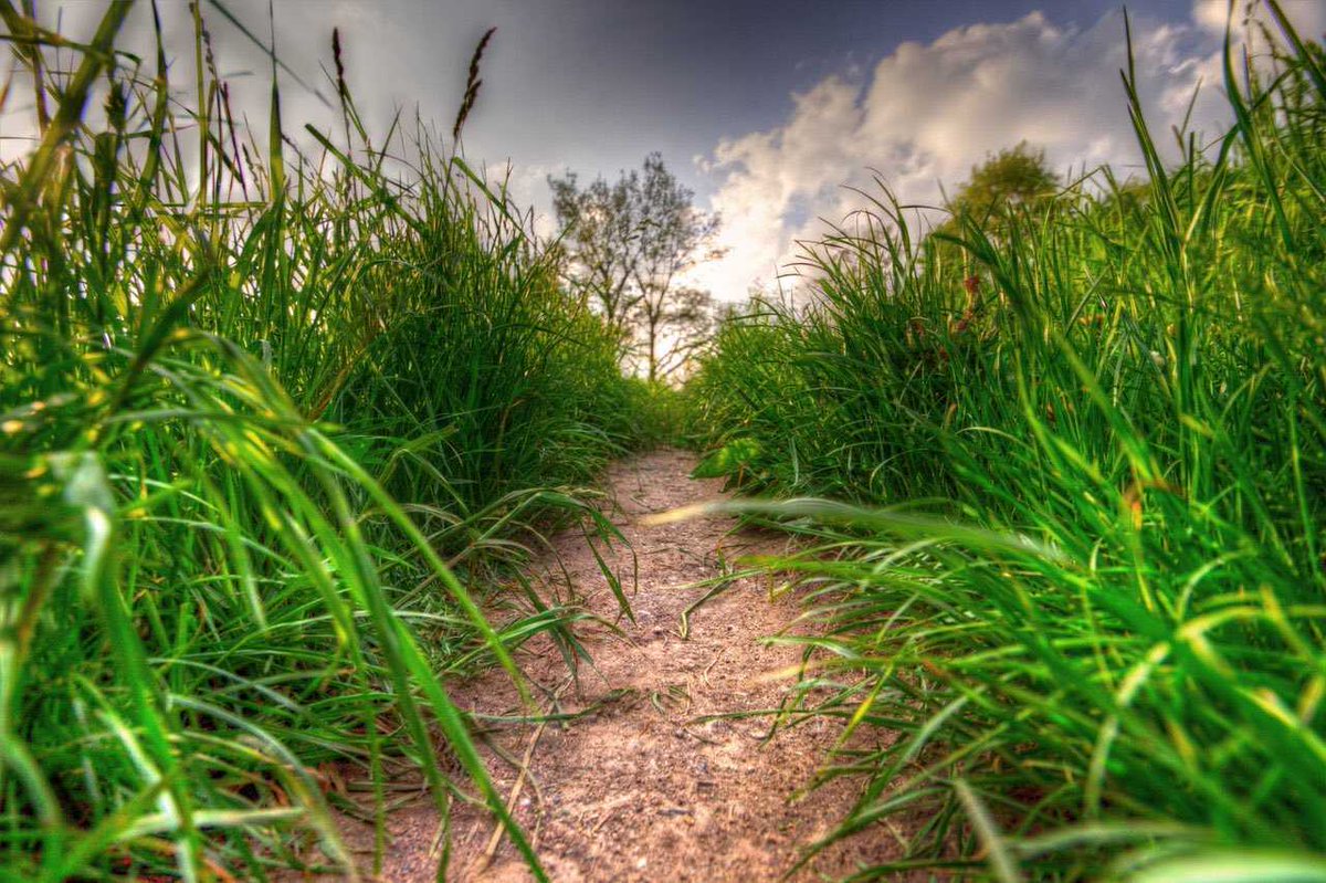 SellersDale's tweet image. You don’t always have to #see where you’re going in order to #know that you’re on the right path. Your highest #destiny is within reach. You’ll be able to see the #bigpicture as things continue to unfold and when the #moment is right. #guidance #knowing
dalesellers.com