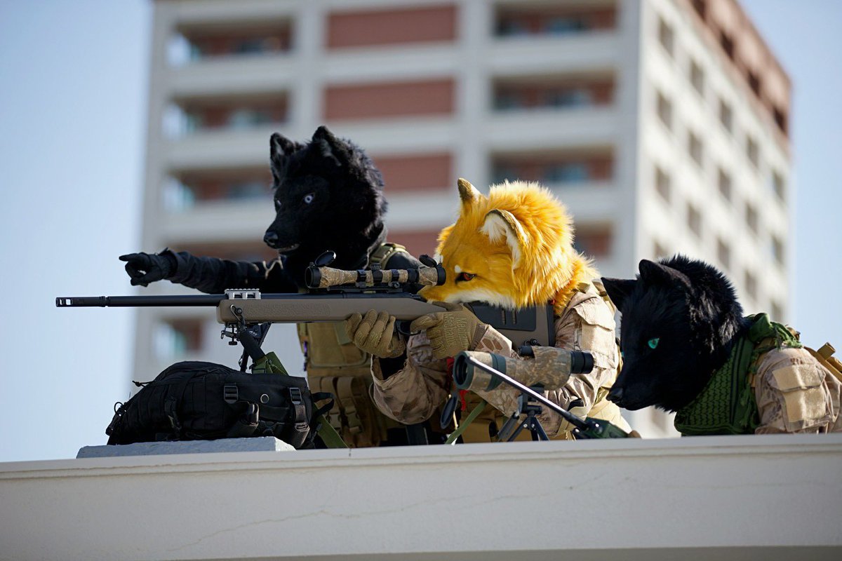 ウーノ（Uno） (@uno_foxy) / Posts / X