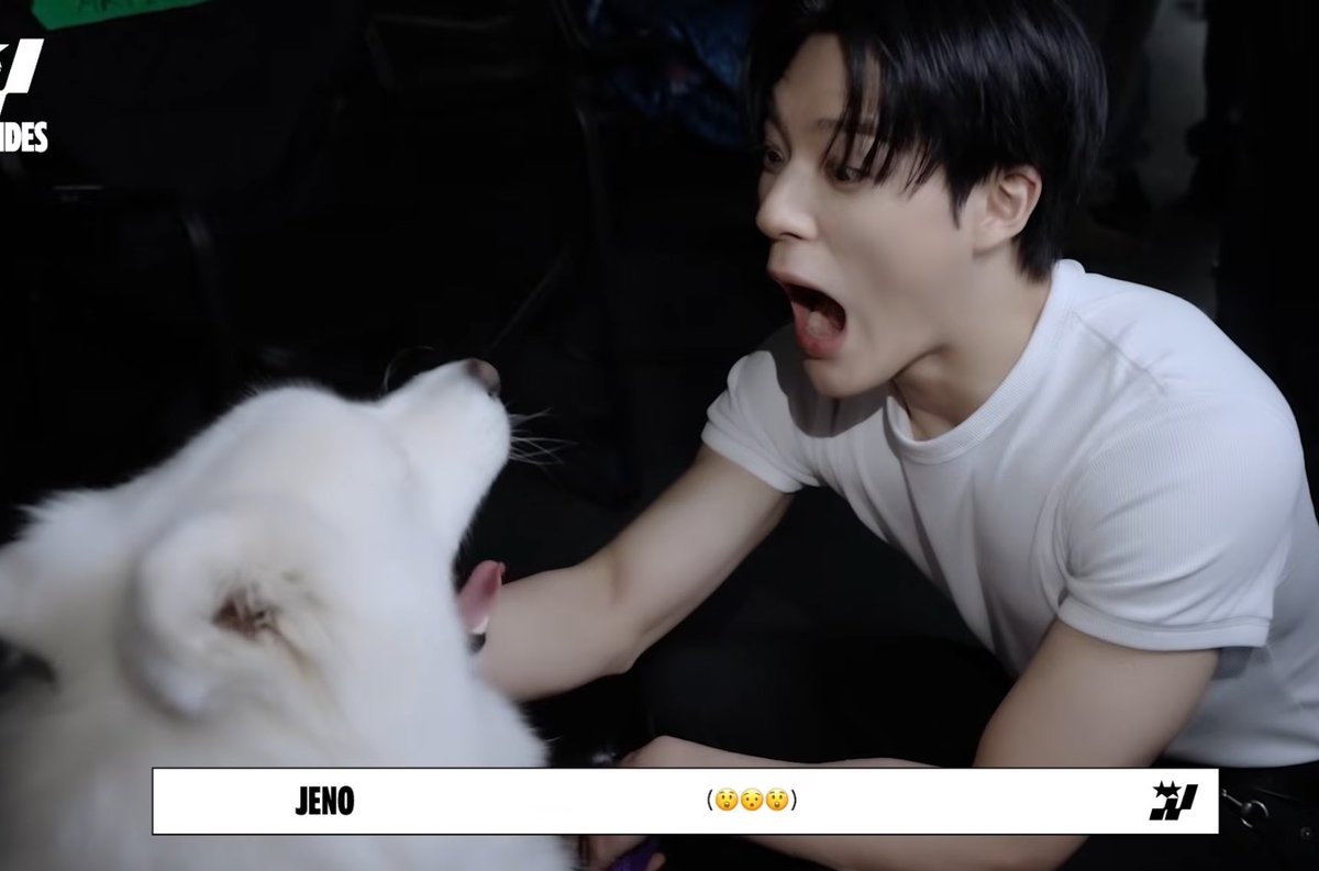 คือออ555555555555555555555555555555555555555555555555555 อ้าปากตามน้องซามอยด์แล้วจะไม่ให้แจมินบอกเจโน่เป็นซามอยด์ได้ไง บ๊องอะ55555555555