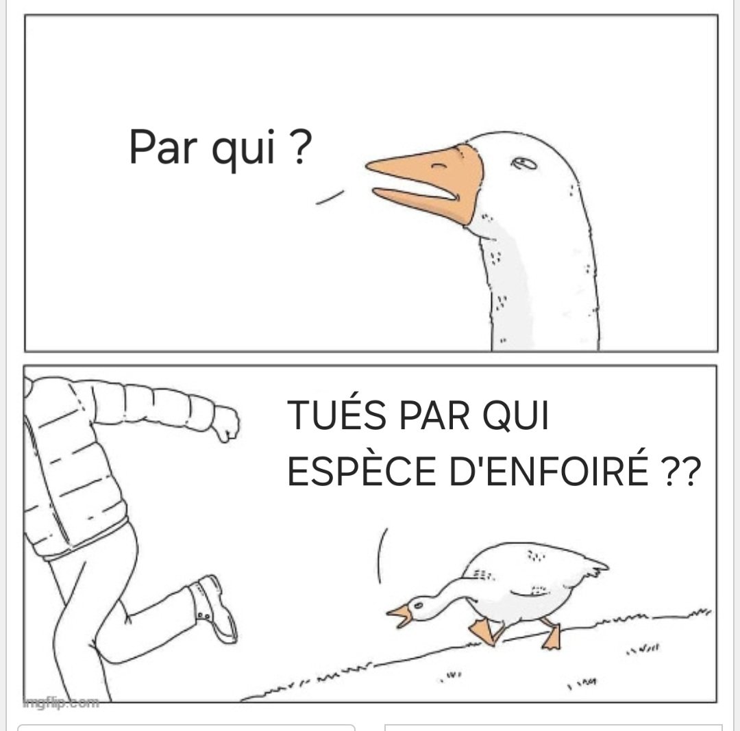 Flemme 🇲🇦☭ tweet media