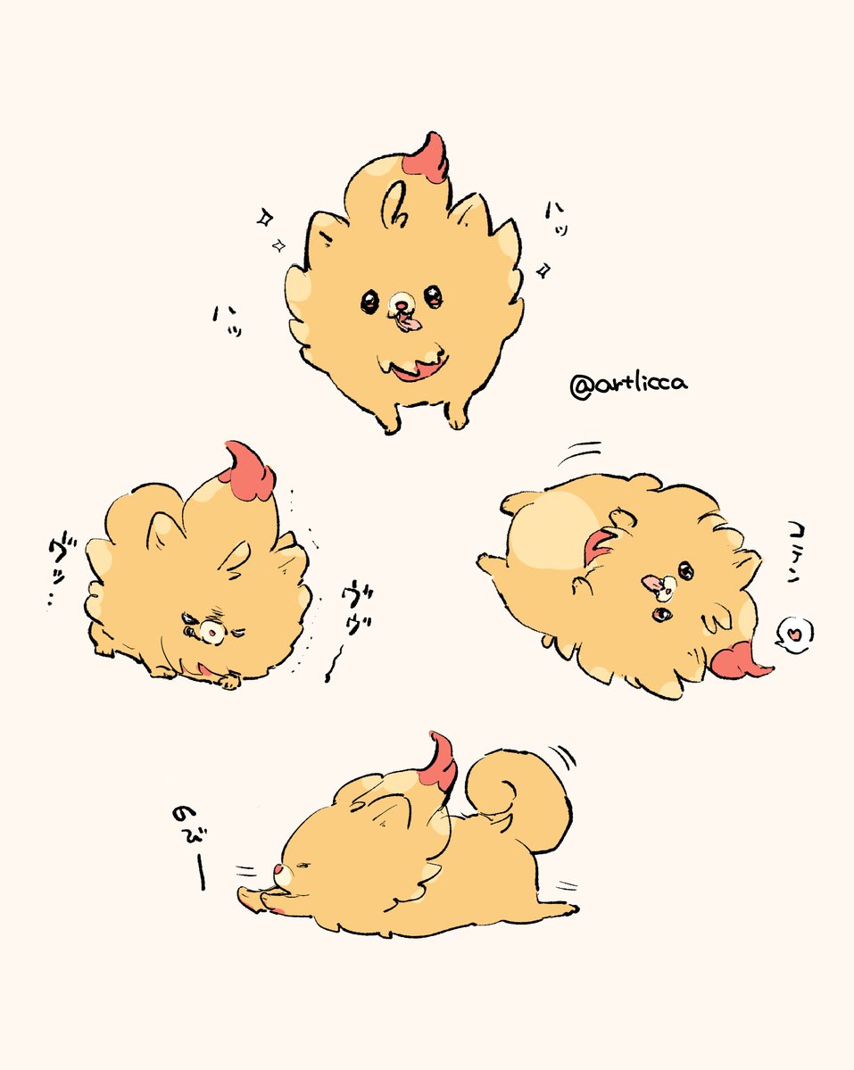 ポムケンかわいいい