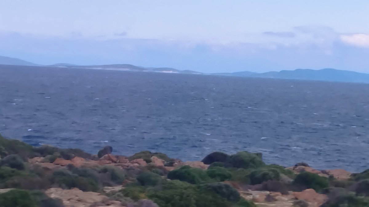 Αρης Ραβανός tweet media