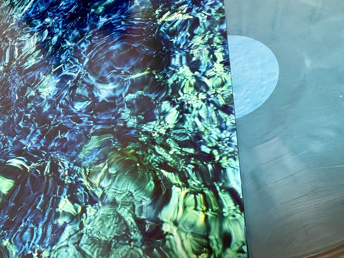 Luminescent CreaturesをLPで。何がどうなっているのかよく分からないけど、このレコードは音がいいんです。これからも沢山聴くと思うこのアルバム、リリース一周年おめでとうございます🪼
#青葉市子