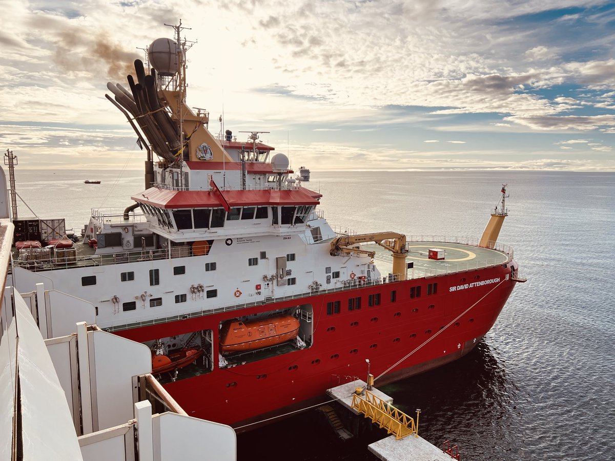 Paul 🇺🇸 tweet media