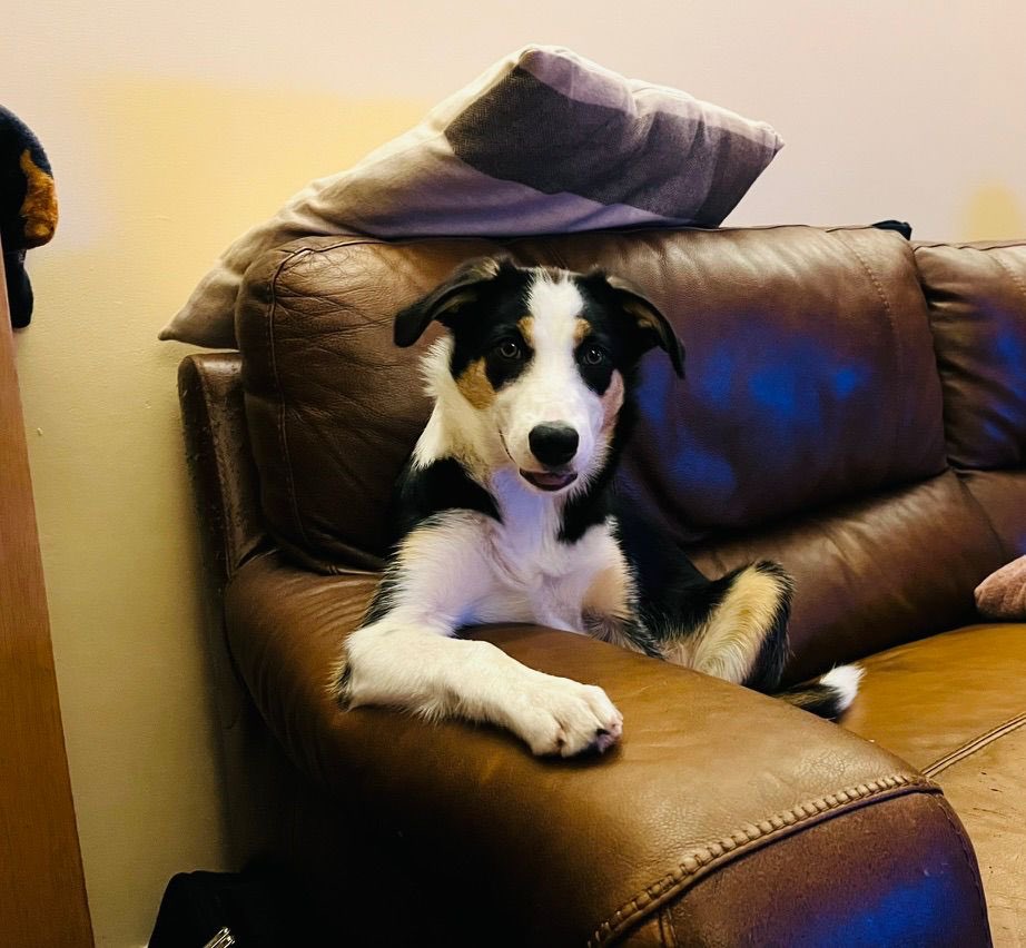 Von Mitch ☻ tweet media