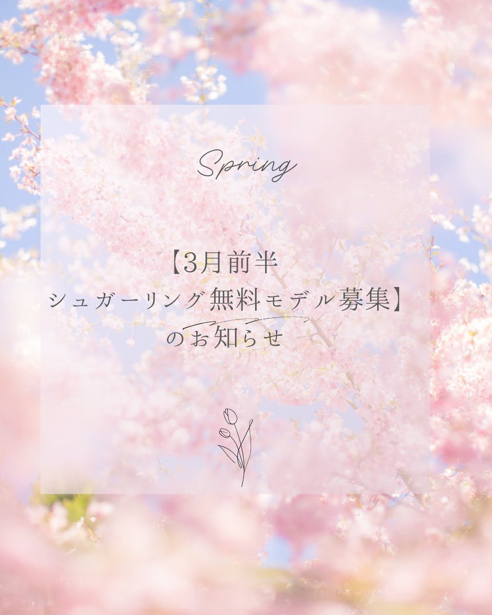 sugarlash's tweet photo. VIOシュガーリング❗女性のみ
無料モデル募集

・3月5日（木）10時30分or12時30分
・3月12日（木）12:30

講師指導のもと、生徒が丁寧に施術いたします。
技術向上および広報撮影にご協力いただける方を募集しております。

料金：無料
※VIOはオールオフのみ
※SNSにパーツ掲載にご同意いただける方 https://t.co/2oWEE7cWQh