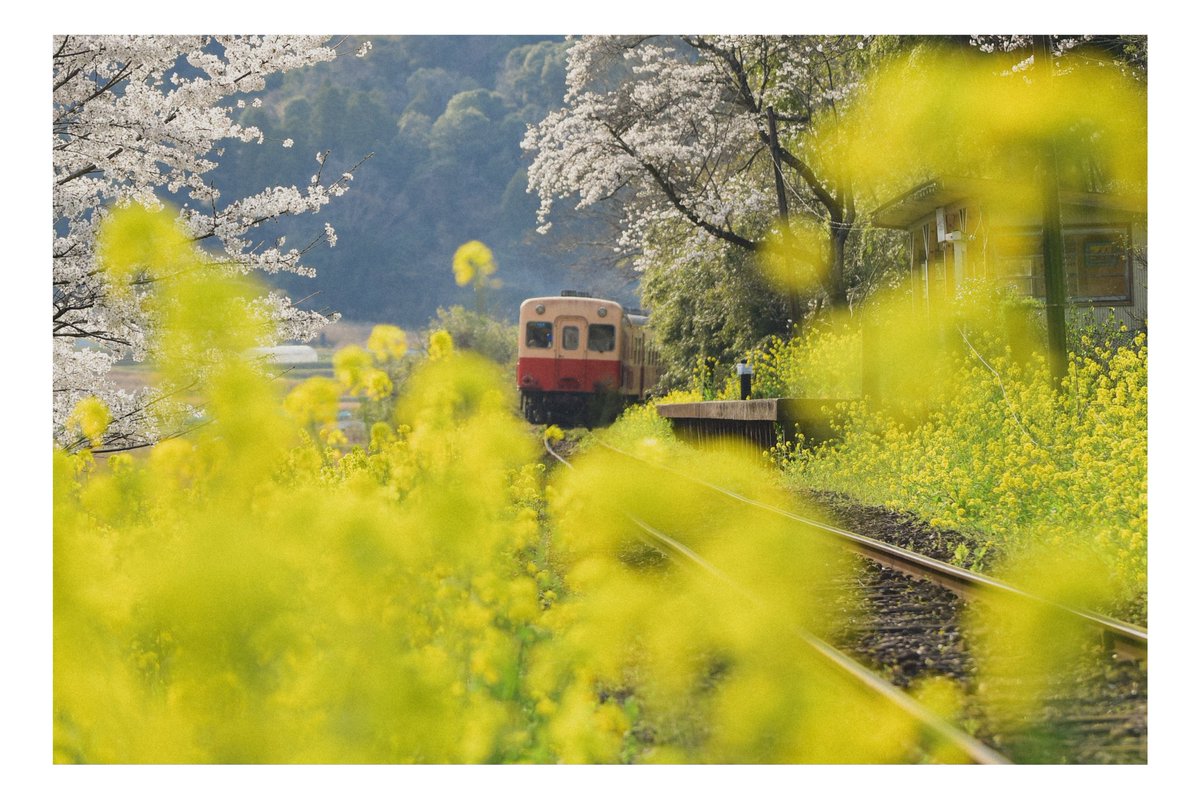 おとphoto tweet media