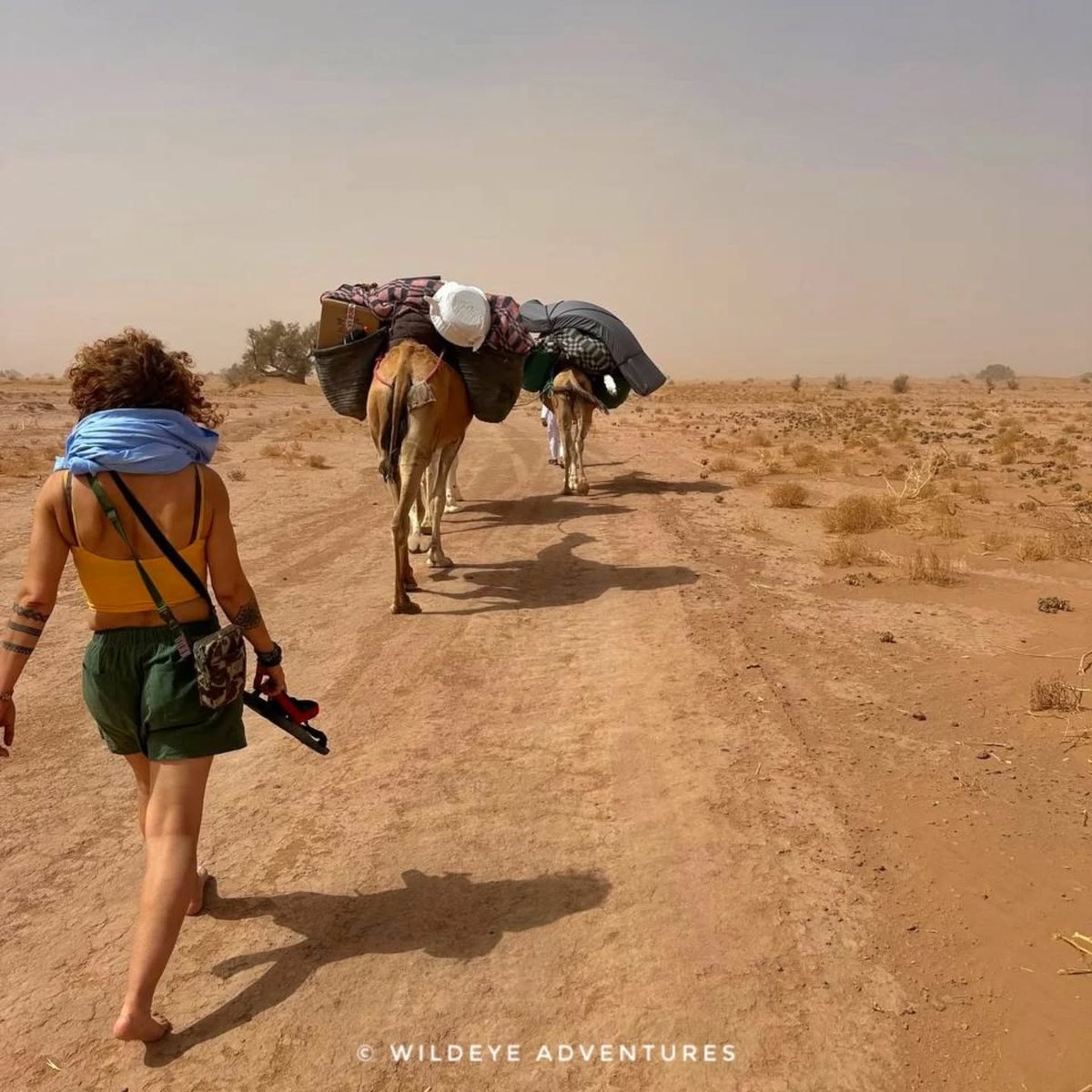 NatureWildeye's tweet photo. SAHARA DESERT EXPEDITION in Morocco ✨ 
With Wildeye Adventures

LOCATION: 📷 Sahara Desert #Morocco
DATES: 28TH SEPT - 6TH OCT 2026

WEBSITE: https://t.co/kbA66DmCnr

#Morocco #SaharaDesertExpeditionMorocco #SaharaDesertExpedition #NatureConnection #AdventureTravel https://t.co/NMbdCe0uiw