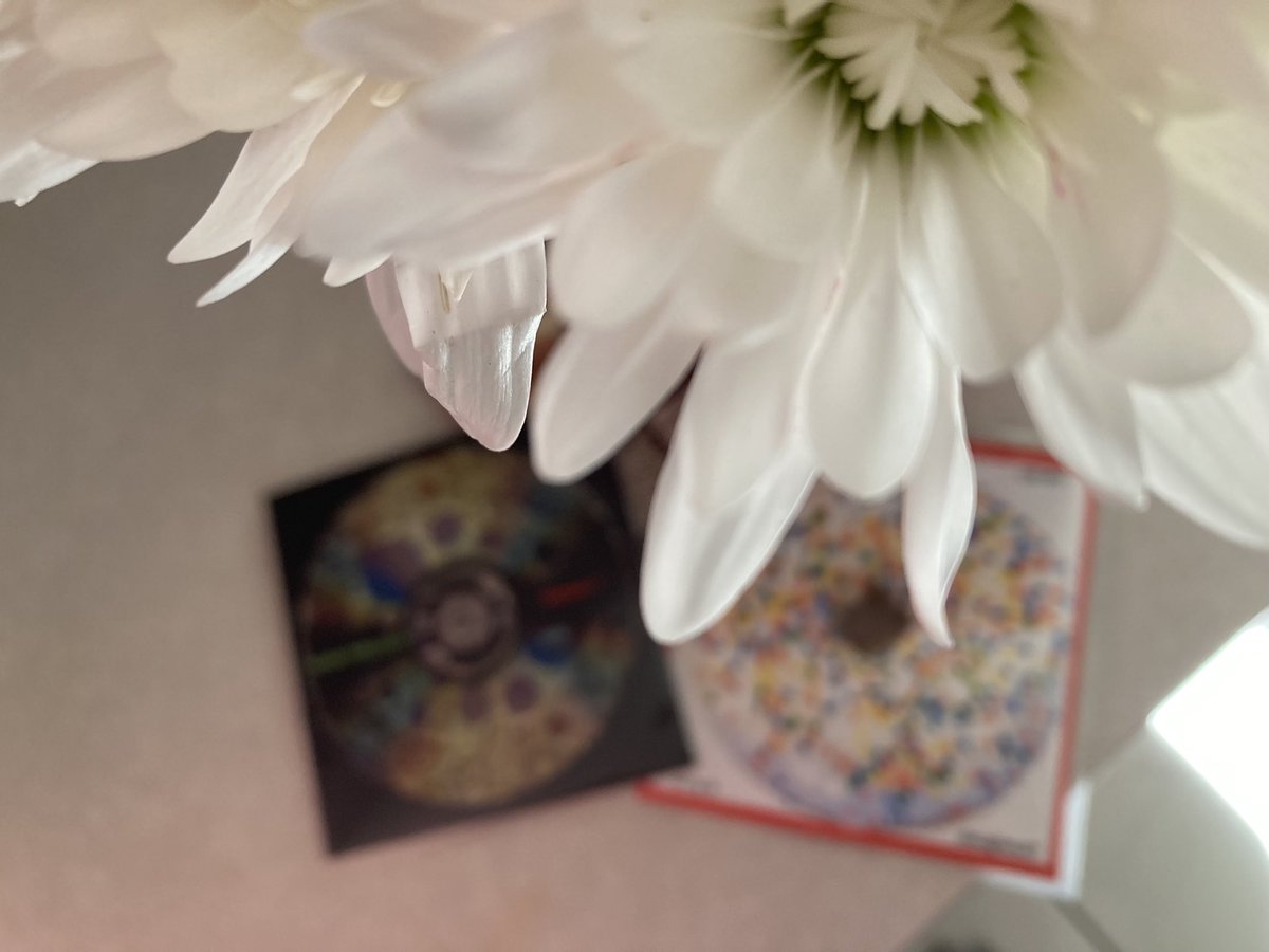 Illuminated Paths tweet media