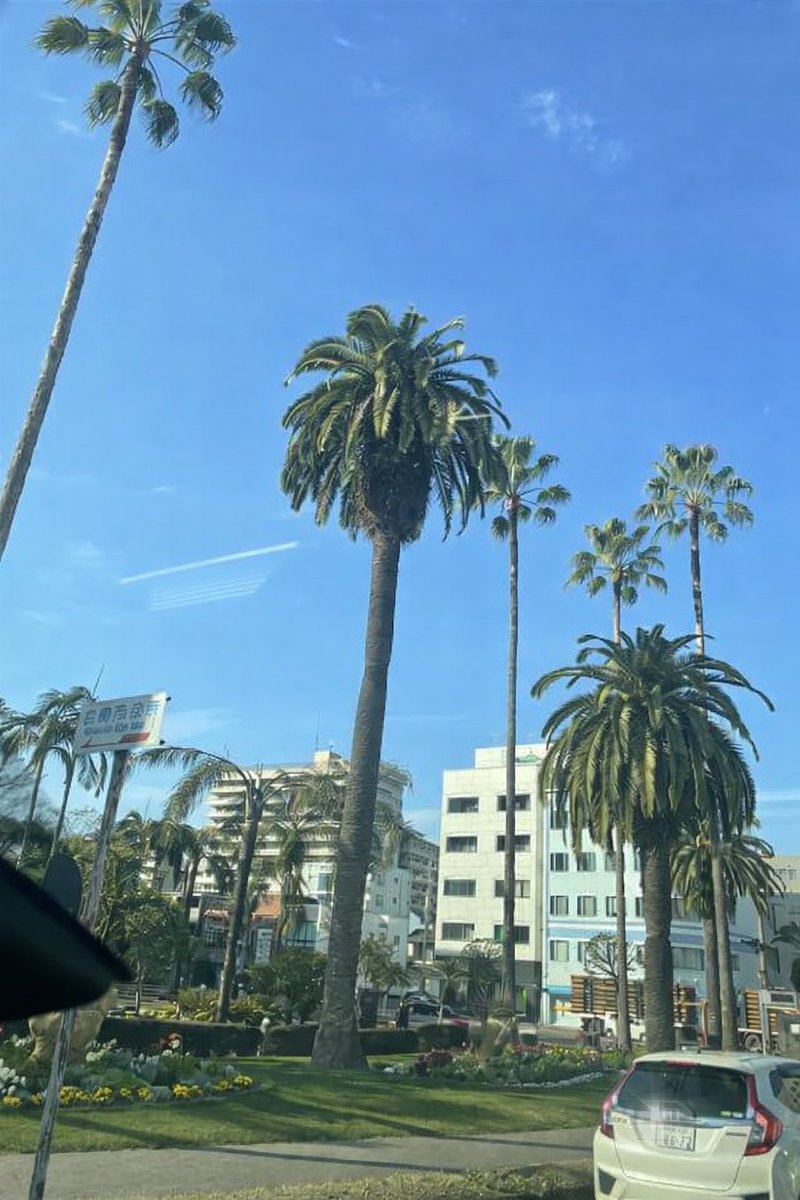 Dステ大分・宮崎・熊本エリア長 tweet media