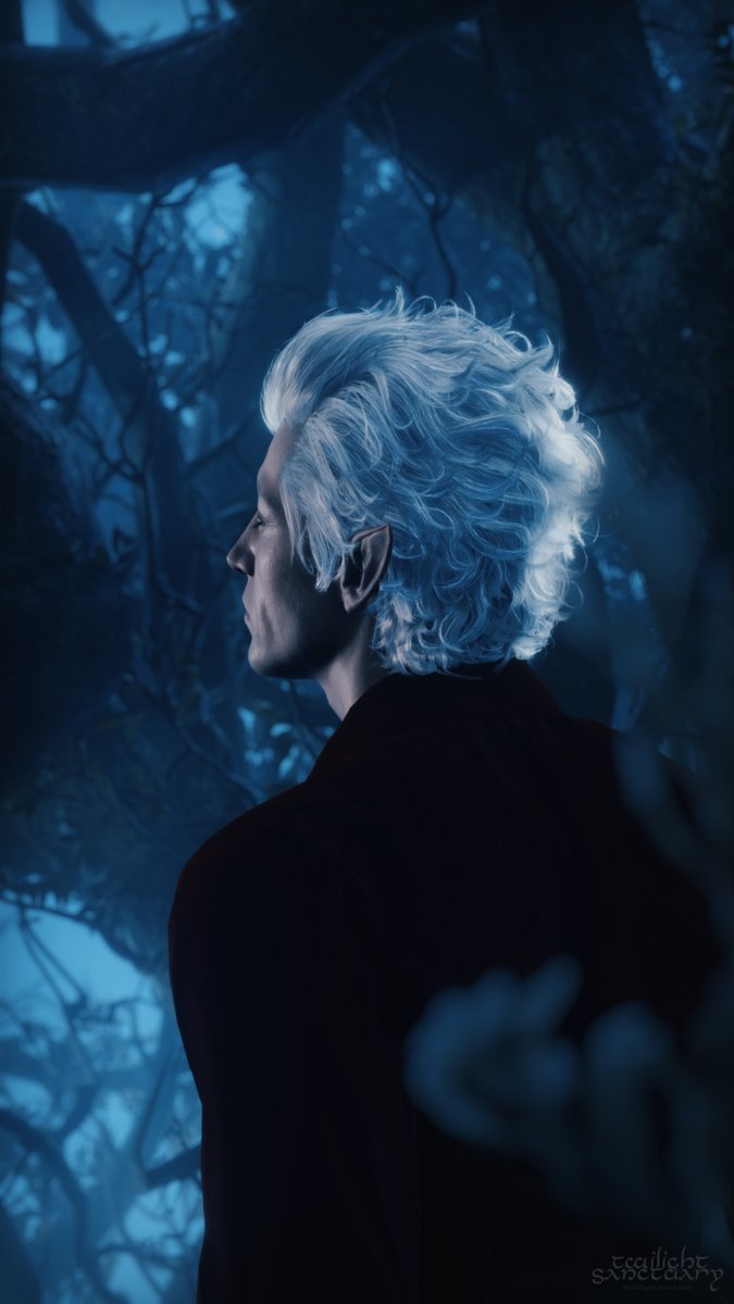 twilight-sanctuary tweet media